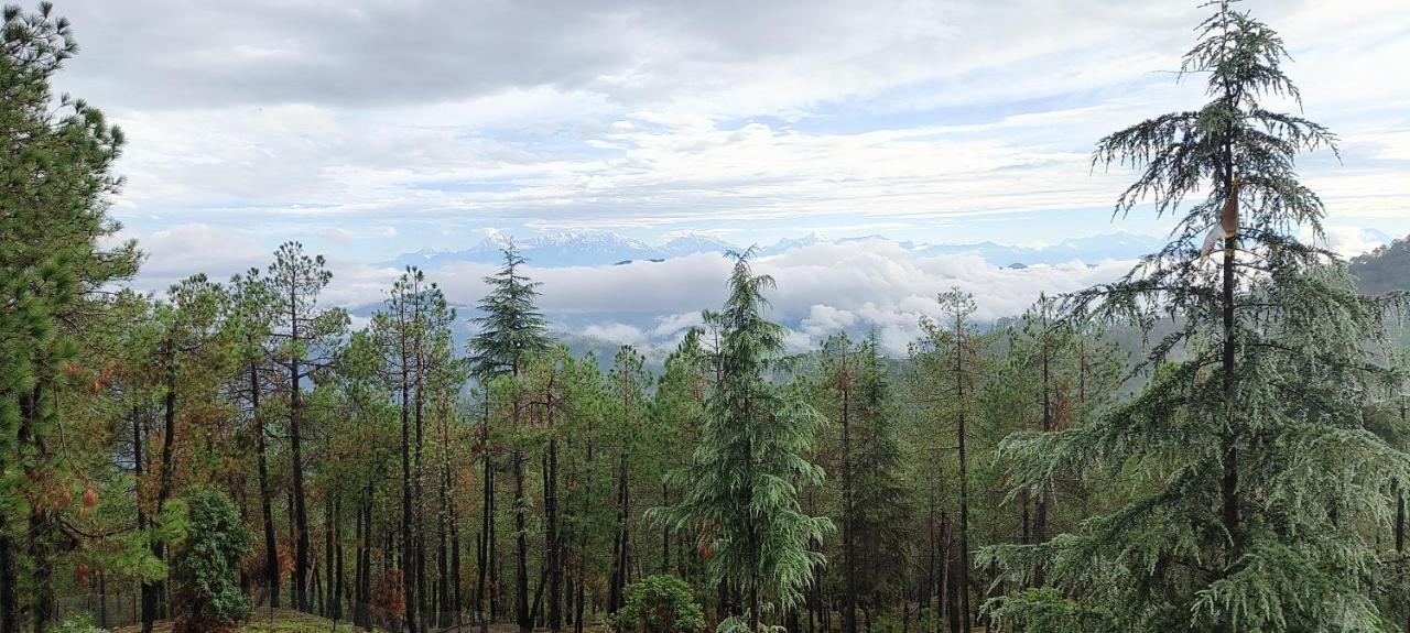 The Roots Homestay Almora Exteriér fotografie