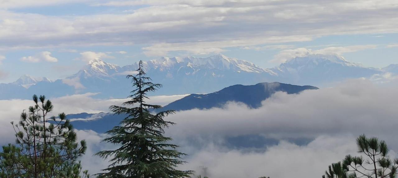 The Roots Homestay Almora Exteriér fotografie