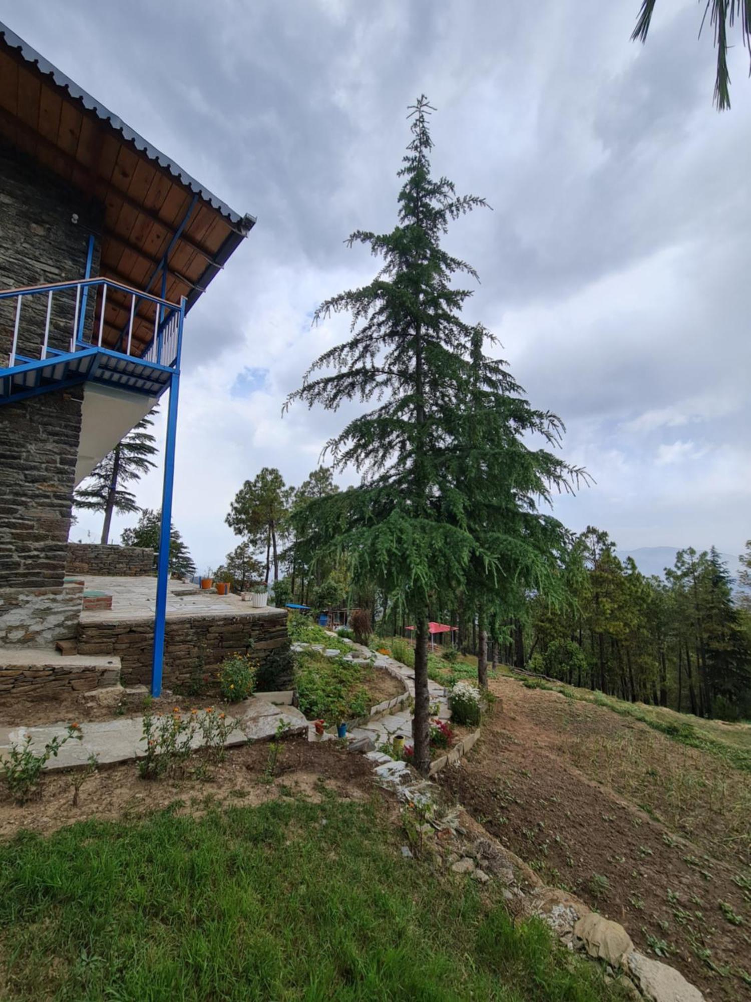 The Roots Homestay Almora Exteriér fotografie