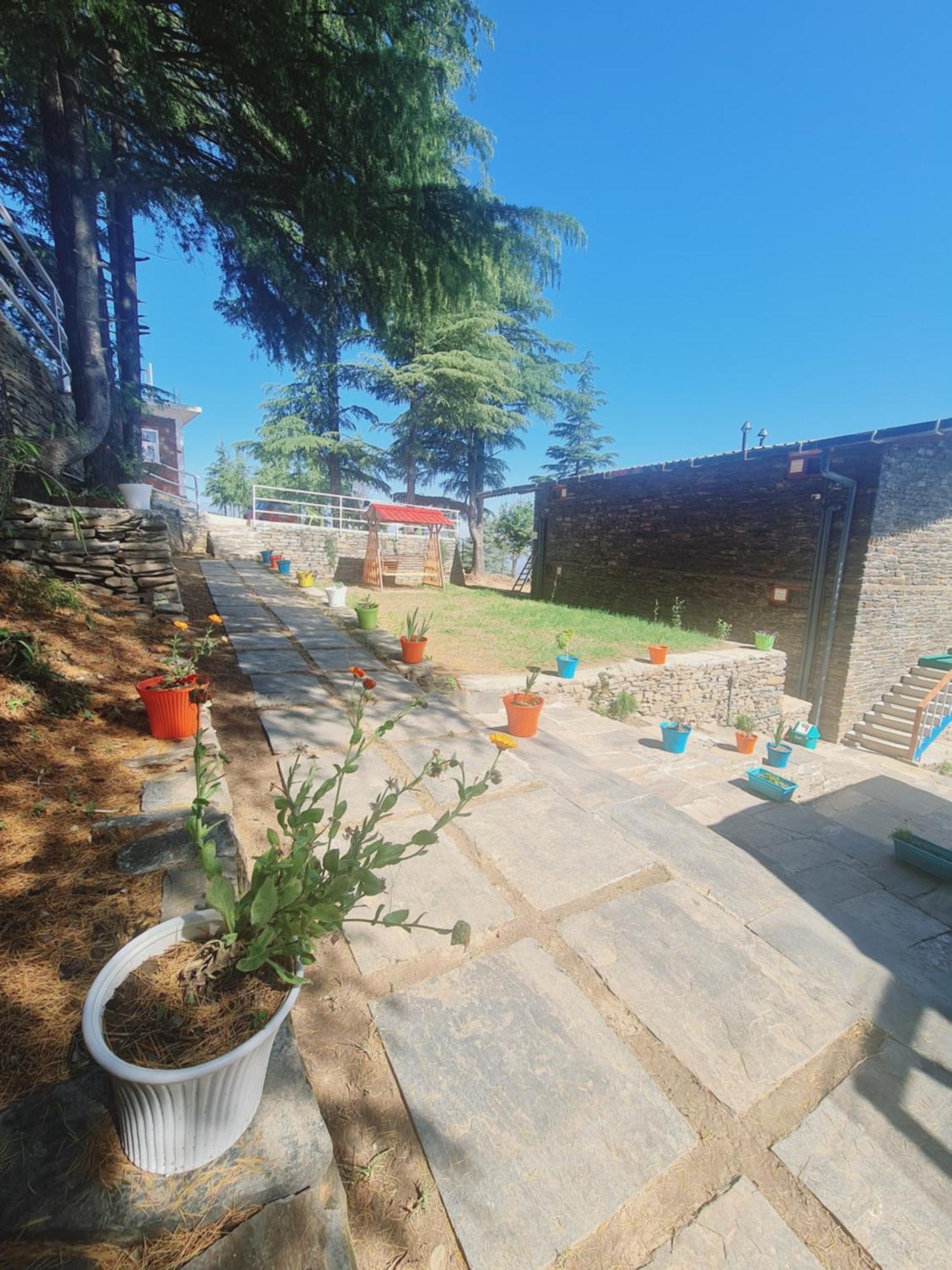 The Roots Homestay Almora Exteriér fotografie
